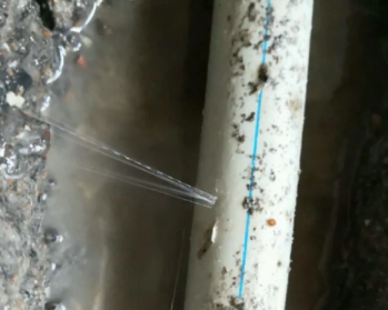 盘龙卫生间测漏水多少钱